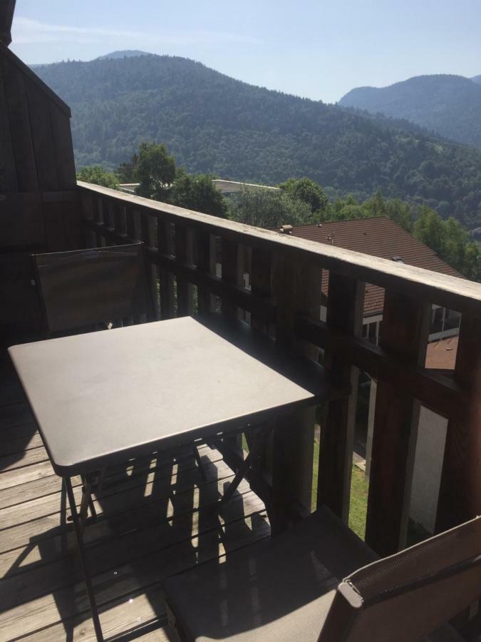 Apartment T3 Bussang, Vosges, Vue Imprenable